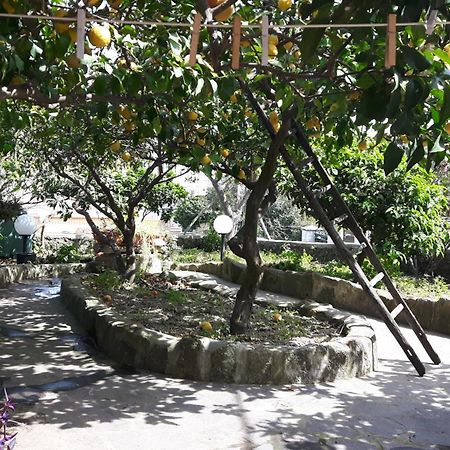 Holiday Apartments Lacco Ameno  Екстериор снимка