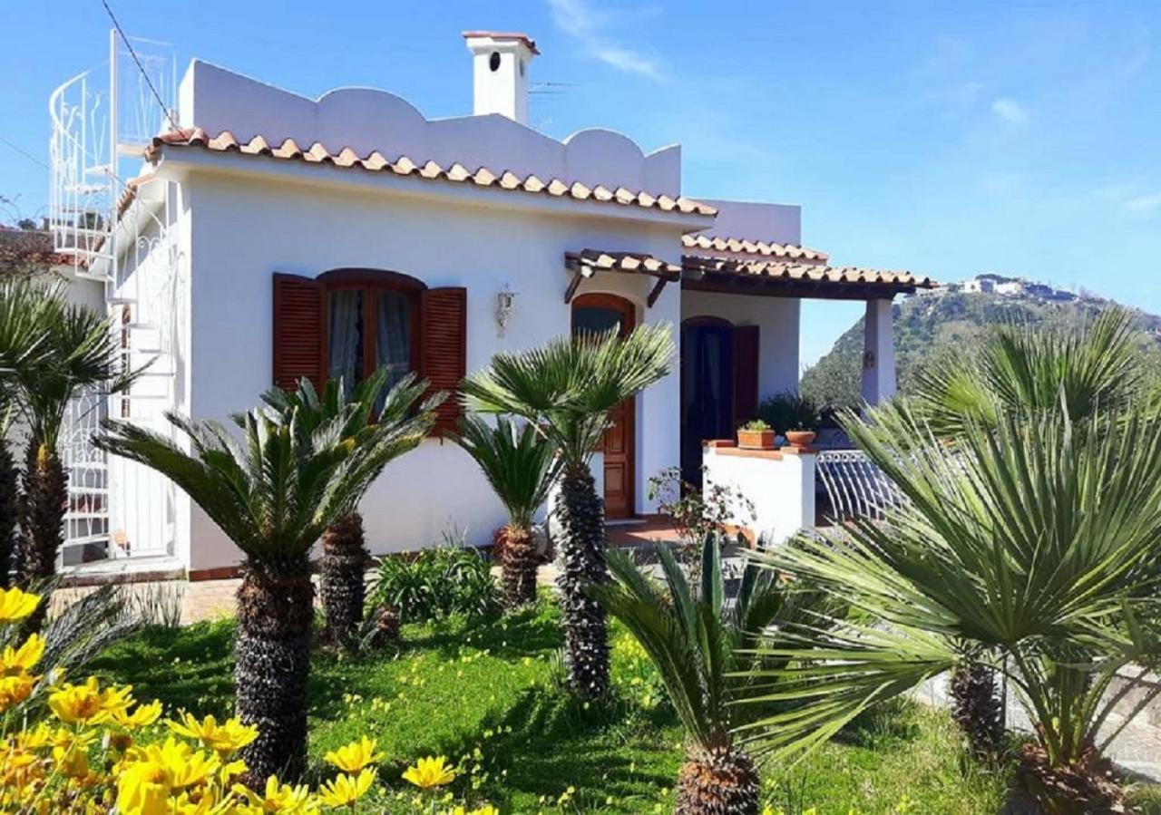 Holiday Apartments Lacco Ameno  Стая снимка