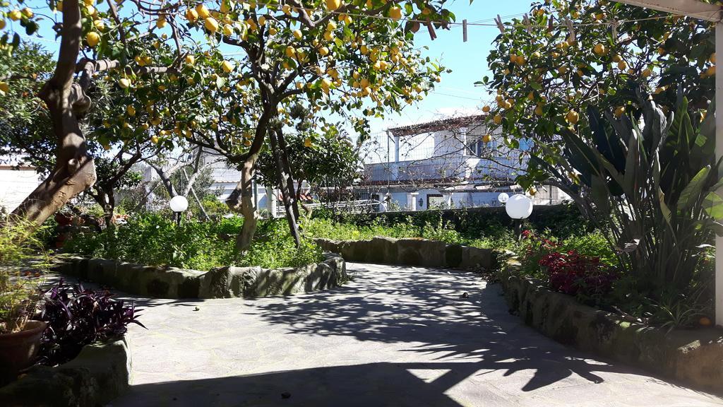 Holiday Apartments Lacco Ameno  Екстериор снимка