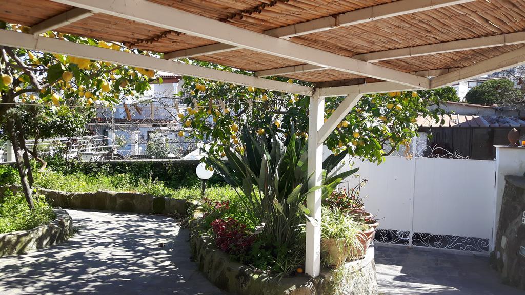 Holiday Apartments Lacco Ameno  Екстериор снимка